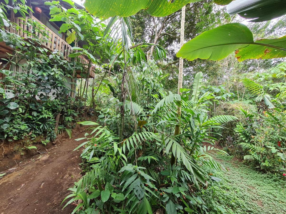 Vila Cabana Maquique - San Vito San Ramon  Exteriér fotografie